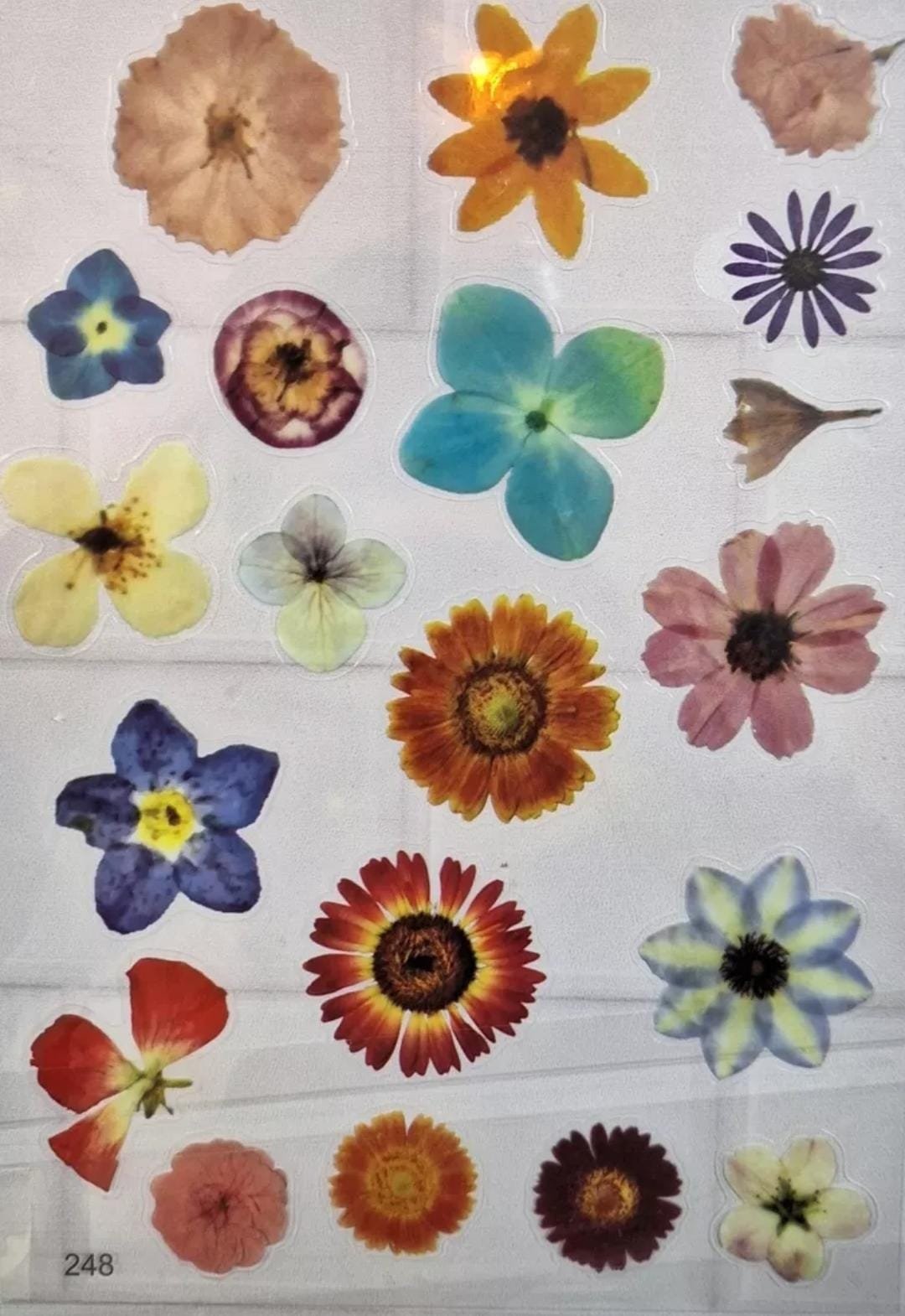 Sticker flores 248 - Imagen 2