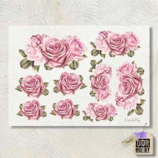 Lamina Transfolex color 016