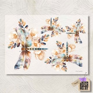 Lamina Transfolex color 026