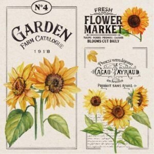 Laminas 30x30cm Kraft