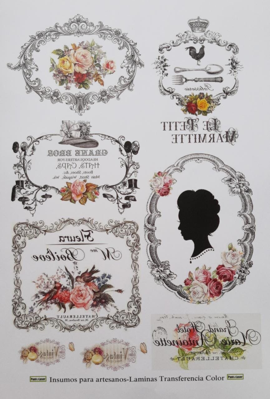 Lamina A3 transferencia