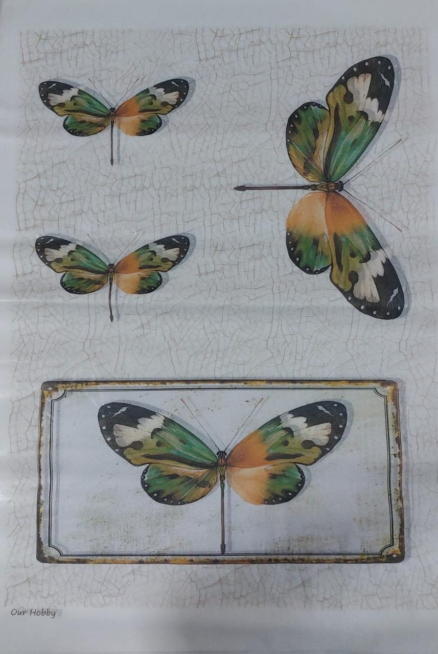 Lamina de seda xl231