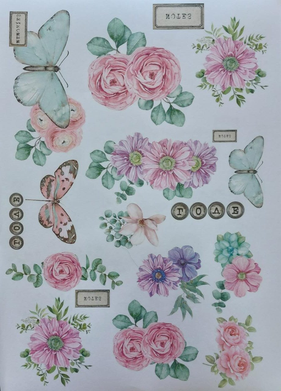 Lamina transfer-multiuso004