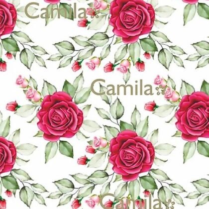 E050 ROSAS Y PIMPOLLOS