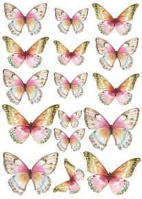 Colotransfer A5 Mariposas 10