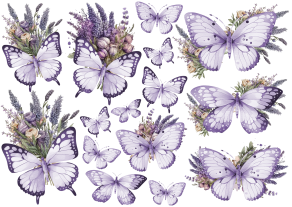 Colotransfer A5 Mariposas 09bc