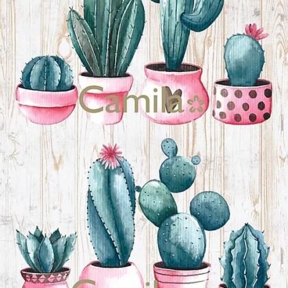 S309 CACTUS EN MACETA