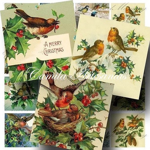 SNAV164A POSTALES PAJARITOS