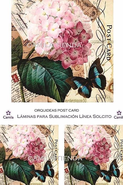 SU012 DUO HORTENCIAS