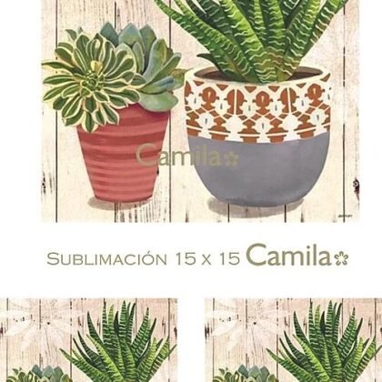 SU099 MACETAS CON PLANTAS