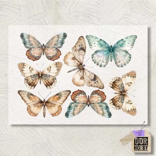 Lamina Transfolex color 082