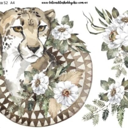 S 02 decotransfer a4