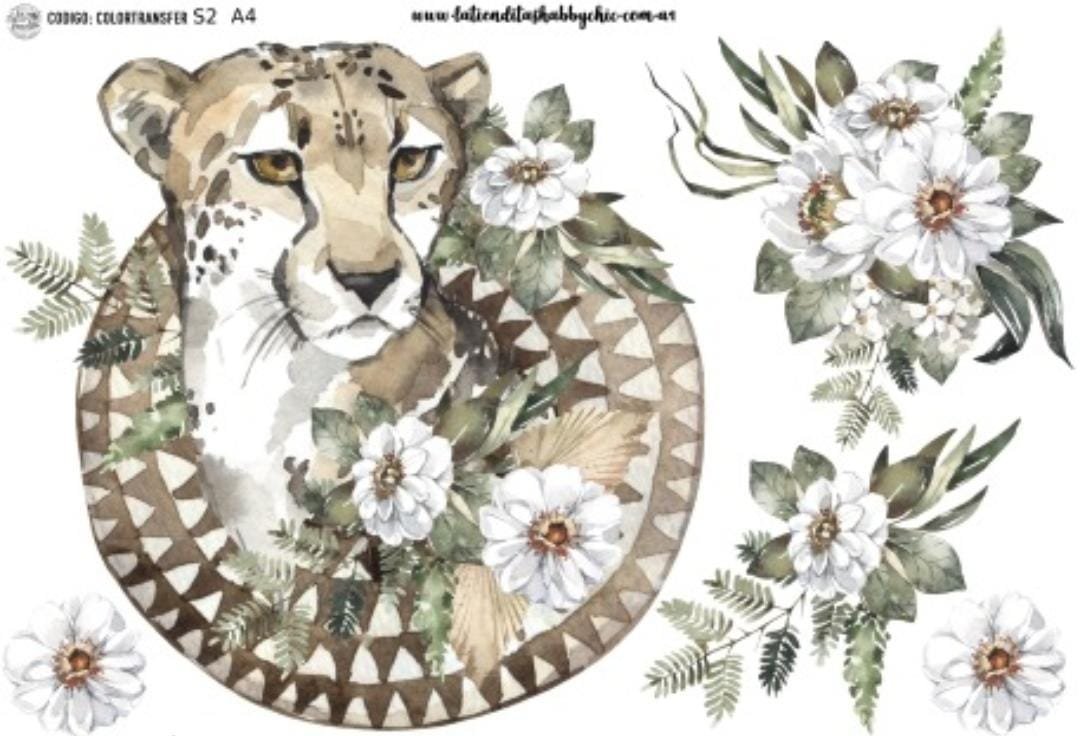 S 02 decotransfer a4