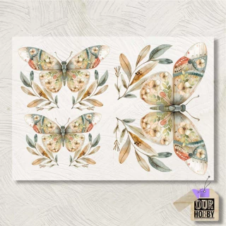 Lamina Transfolex color 097