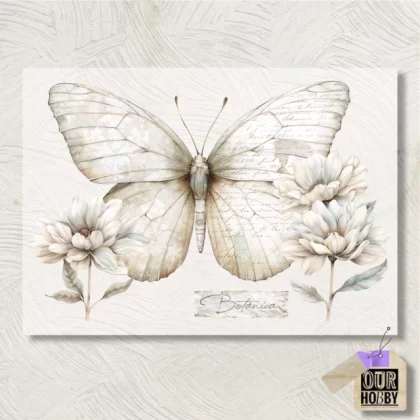 Lamina Transfolex color 101