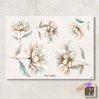 Lamina Transfolex color 100