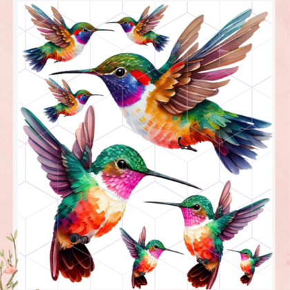 Colibries 1 Lamina termotransferible