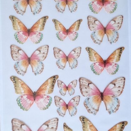 Mariposas 10 decotransfer a4
