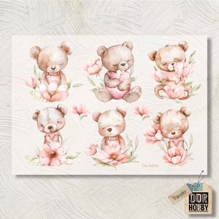 Lamina Transfolex color 117