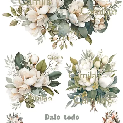 Lamina termo transferible ttc147