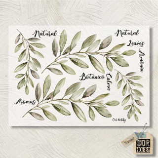 Lamina Transfolex color 157