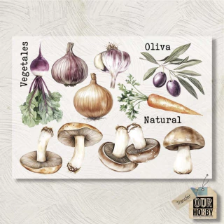 Lamina Transfolex color 170