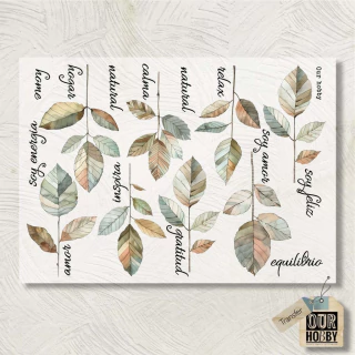 Lamina Transfolex color 174