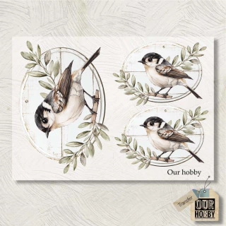 Lamina Transfolex color 200