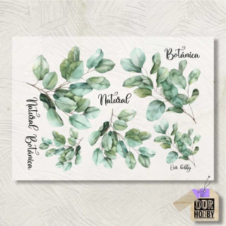 Lamina Transfolex color 089