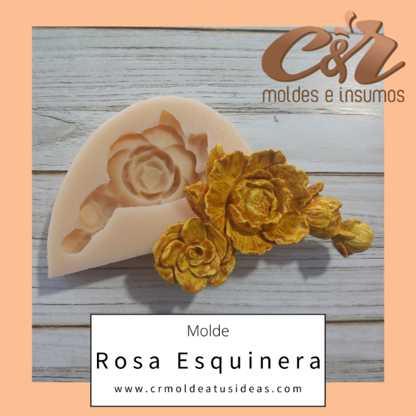 Rosa esquinera