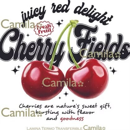 Lamina termo transferible xs ttmc027