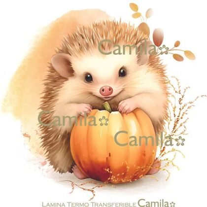 Lamina termo transferible ttc026