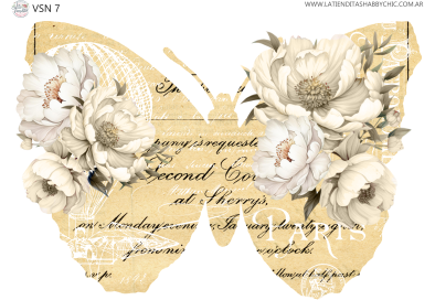 Vsn 7 Colortransfer Uv