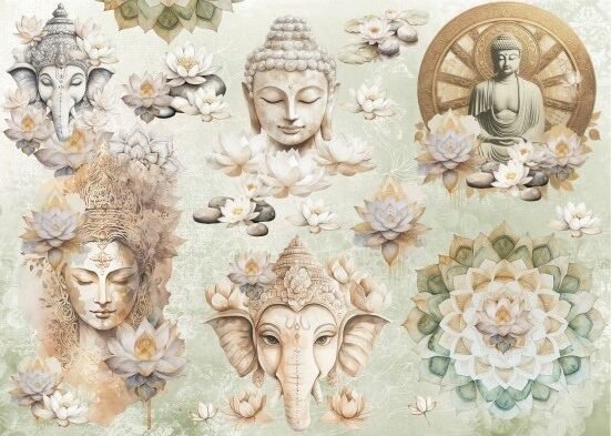 Zen 1 Lamina sublimable