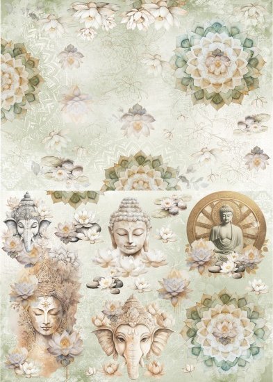 Zen 1b Lamina sublimable