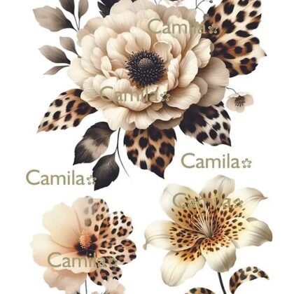 Lamina termo transferible ttc168