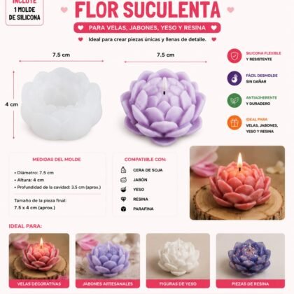 Molde suculenta