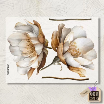 Lamina Transfolex color 271