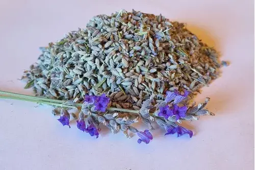 Lavanda