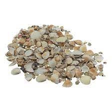 Caracoles para aplicar