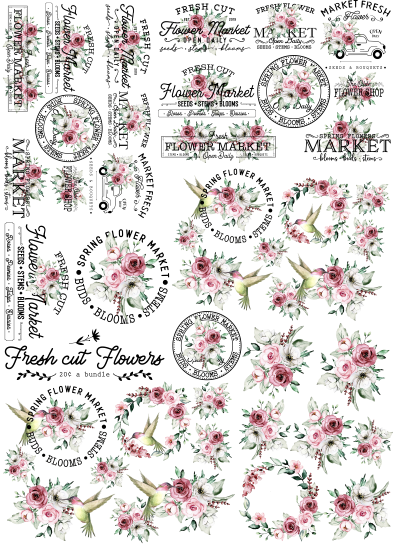 Nb 19 Lamina sublimable