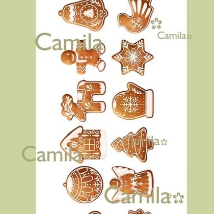 Transferible tnuv020