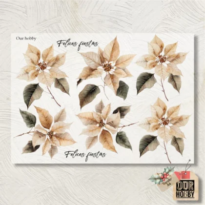 Lamina termotransferible nav275