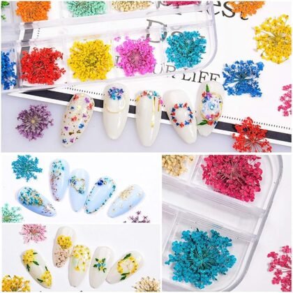 Flores secas para encapsular