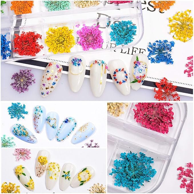 Flores secas para encapsular