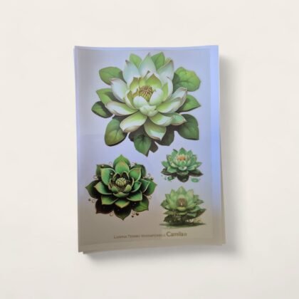 Lamina termo transferible