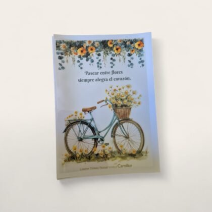 Lamina termo transferible