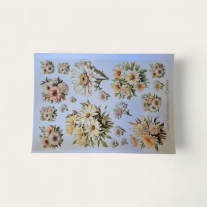 Lamina termo transferible