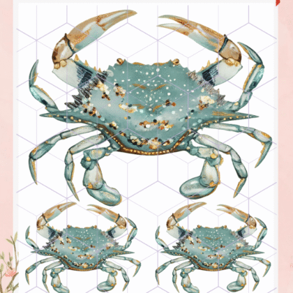 Cangrejo 1 Lamina termotransferible