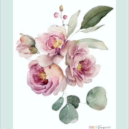 Color transfer 390